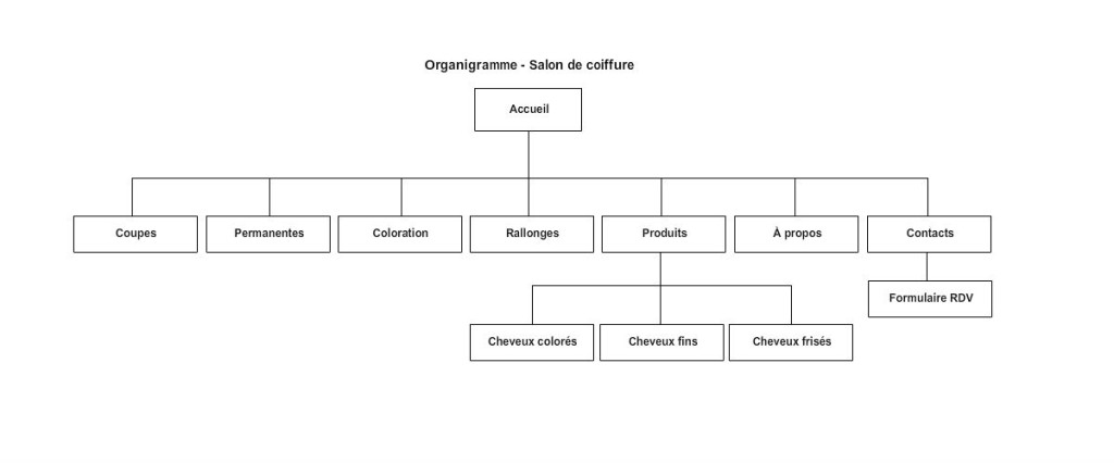 Exemple d'organigramme